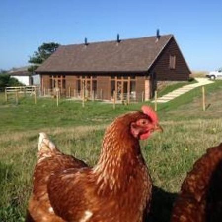 Bike Shed - Beautiful 1-Bed Cottage In Shorwell Bagian luar foto