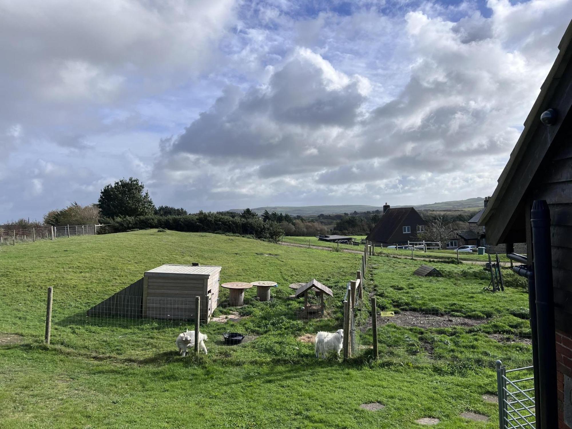 Bike Shed - Beautiful 1-Bed Cottage In Shorwell Bagian luar foto